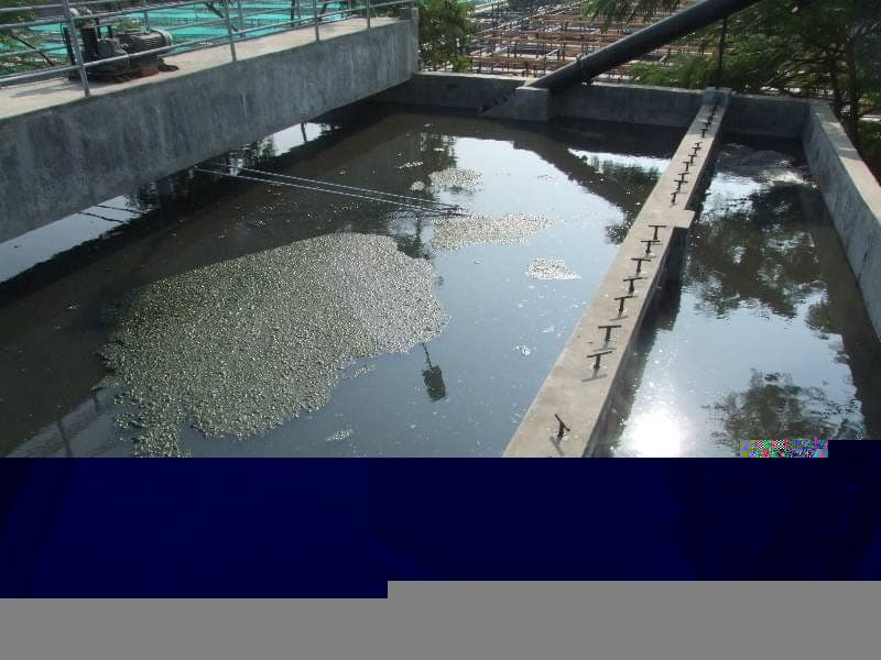 Treatment tank with effluent weir launders at the Tapovan STP, Nashik